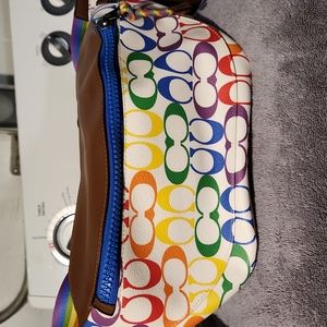 Coach pouch